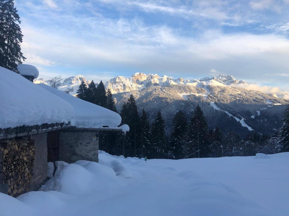 Casa Salvaterra Affittacamere Pinzolo Buitenkant foto