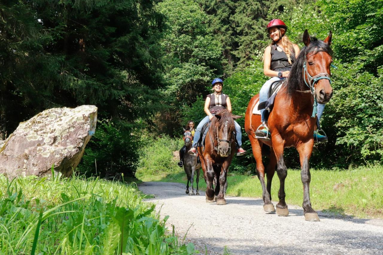 Casa Salvaterra Affittacamere Pinzolo Buitenkant foto