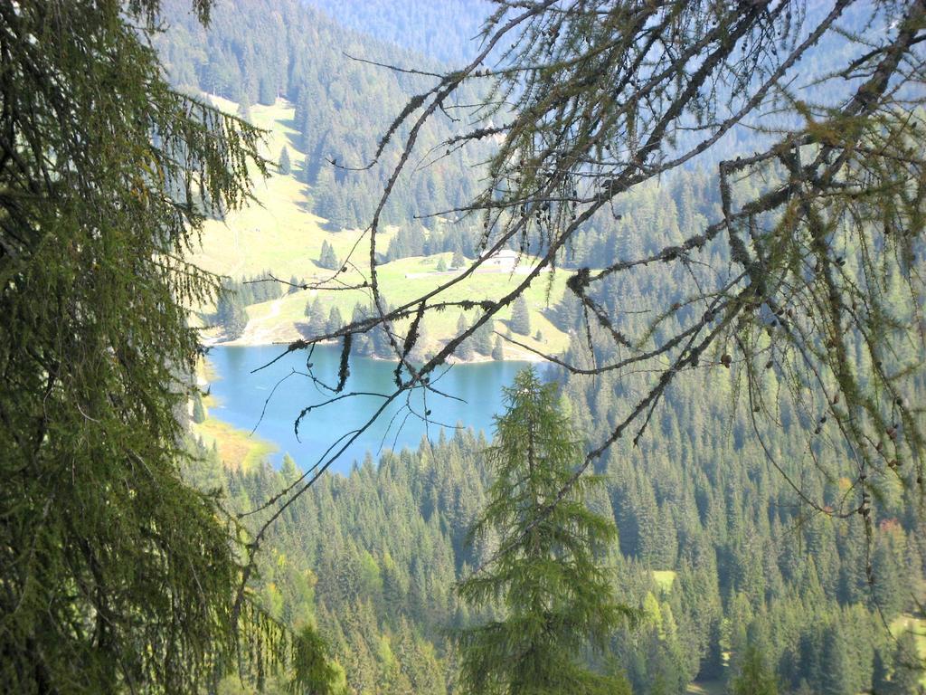 Casa Salvaterra Affittacamere Pinzolo Buitenkant foto