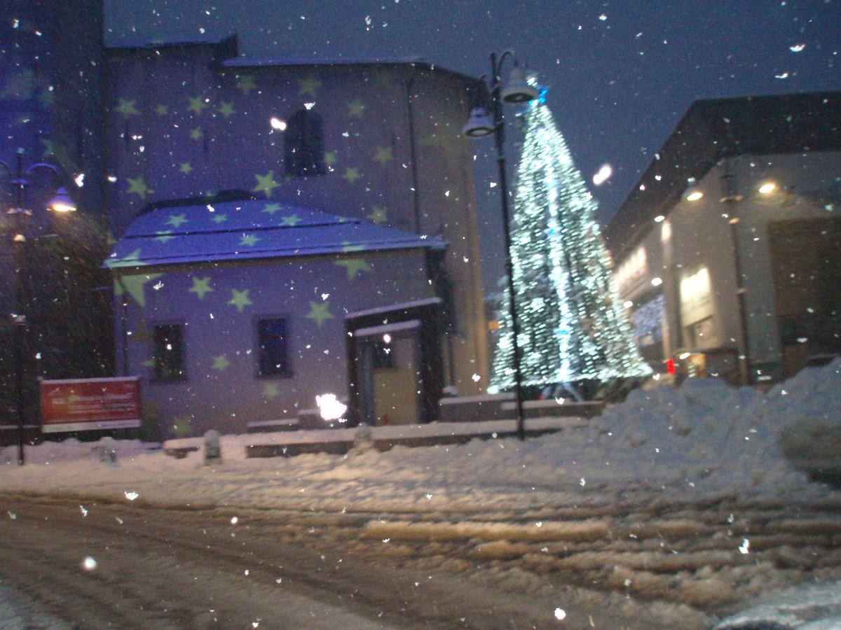 Casa Salvaterra Affittacamere Pinzolo Buitenkant foto