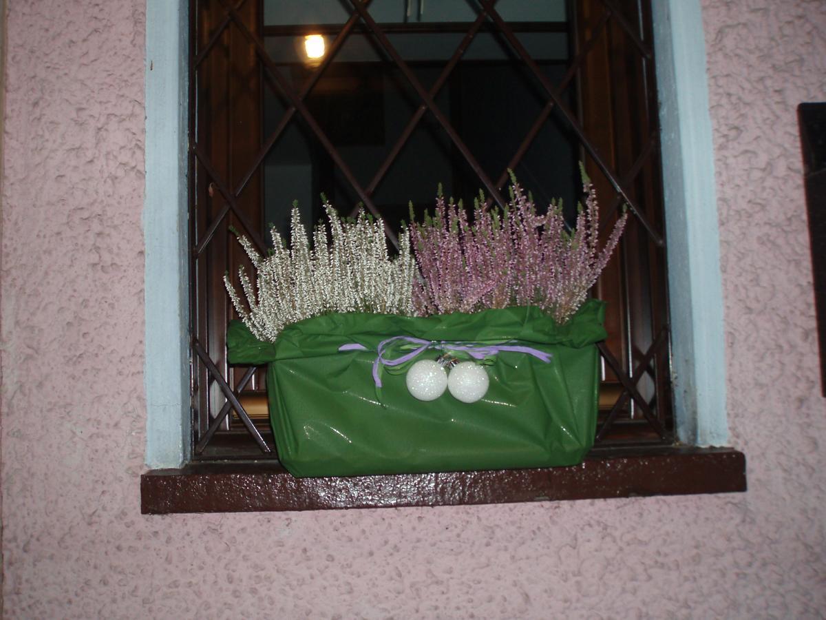 Casa Salvaterra Affittacamere Pinzolo Buitenkant foto