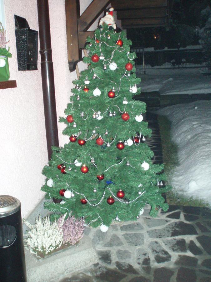 Casa Salvaterra Affittacamere Pinzolo Buitenkant foto